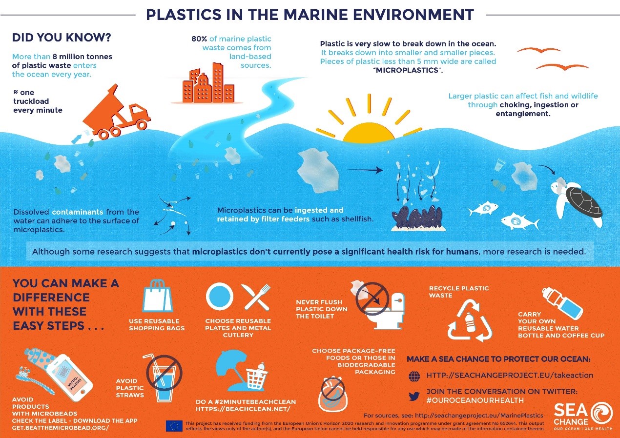 Sea Change infographic english