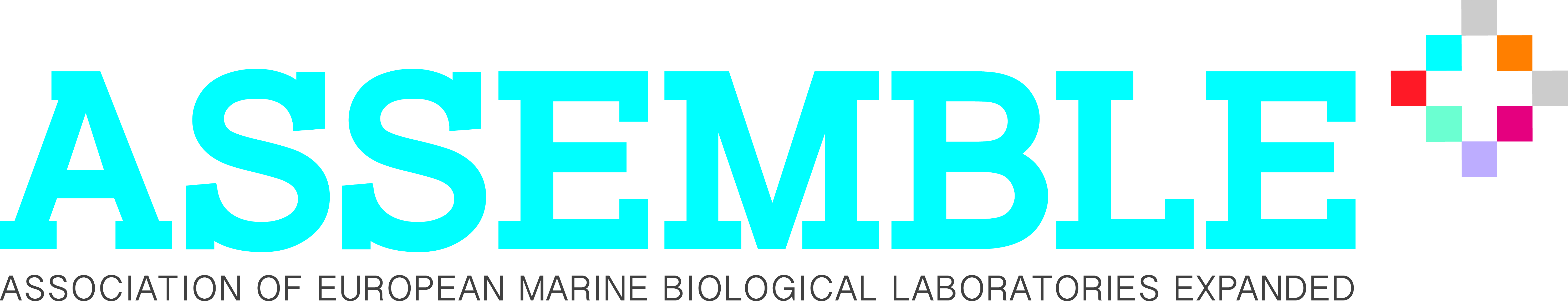 ASSEMBLE PLUS logo full colour