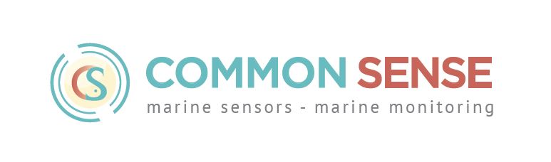 CommonSense concept 1