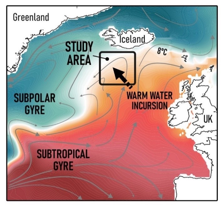 Figure showing the surface circulation of the North Atlantic and the study region where increasing amounts of warm subtropical waters have been detected through the 20th century. P. Spooner D. Thornalley